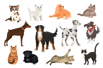 Cats and dogs design elements set. Collection of pets of different breeds, Doberman, Mountain Dog, Dalmatian, playful kittens and puppies. Vector illustration isolated objects in flat cartoon style