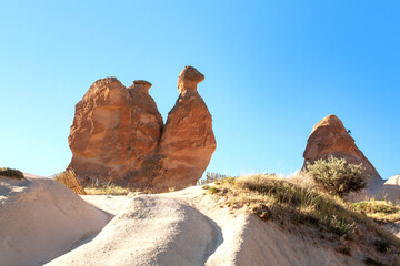 Fototapeta na wymiar Image of a camel in Cappadocia. Devrent Valley in Goreme,Turkey
