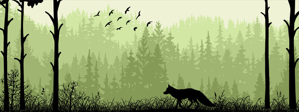 Horizontal banner. Silhouette of fox standing on meadow in forrest. Silhouette of animal, trees, grass. Magical misty landscape, fog. Black and green illustration. Bookmark.