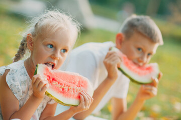 Funny little toddler kids brother and sister eating watermelon on the park. Happy boy and girl...