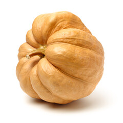 Orange pumpkin on white background 