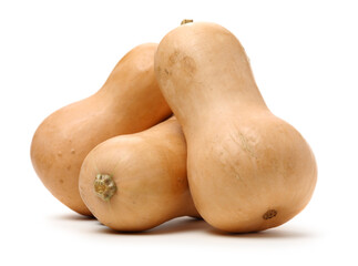 butternut squash isolated on white background. 