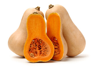 butternut squash isolated on white background. 