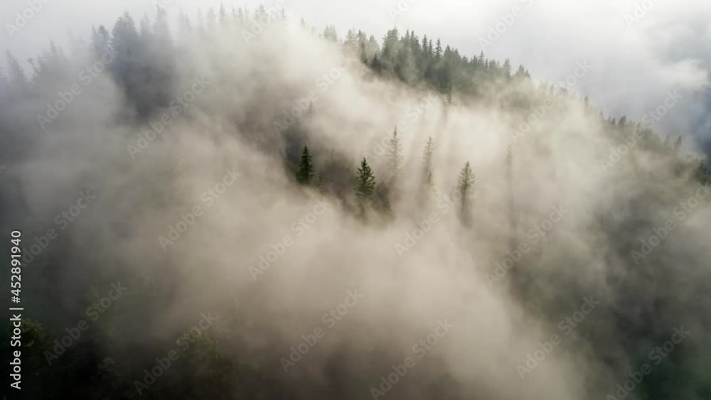 Aufkleber aerial shot of mountain forest in the clouds. sunny morning in the foggy mountains. sun rays make th