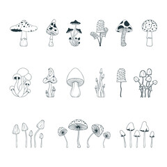Set with line mushrooms. Psychedelic fungi, fungus collection. - obrazy, fototapety, plakaty