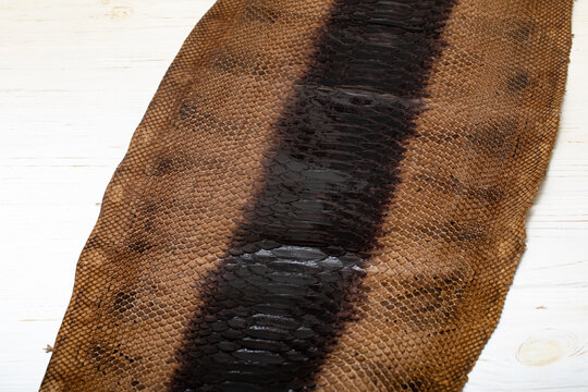 	
Brown dyed folded natural genuine python leather on the wooden table	
