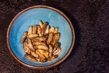 Heimchen in blauen Schüsseln, vor dunklem Hintergrund	