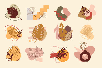 Collection of abstract backgrounds, logo elements. Organic elements and brushes. Tropical leaves set