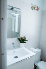 Apartamento casa