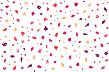 Autumn Leaf Pattern