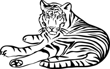 Fototapeta na wymiar Tiger. Black and white simple sketch. Vector illustration