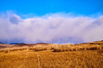 Fototapeta premium Nature landscape with golden glass, old rural road, hills and blue sky with white clouds on background in a nice day or a evening