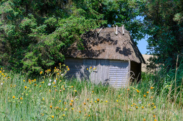 Altes kleines verwunschenes Strohdachhaus auf einer Wiese zwischen Bäumen 
