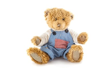 Teddy bear in overalls