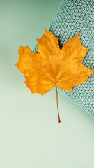 autumn gold leaves painted on blue a warm blanket, the concept of autumn