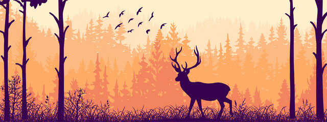 Horizontal banner. Silhouette of deer standing on meadow in forrest. Silhouette of animal, trees, grass. Magical misty landscape, fog. Orange, black and pink illustration. Bookmark.