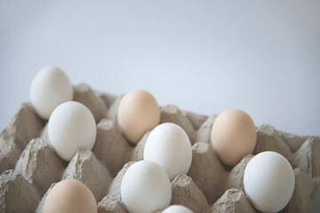 White and dark eggs in an egg carton on a white background.