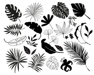Summer set of tropical palm leaves. Vector illustration black silhouette on white background isolated