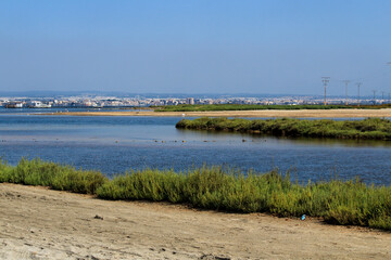 Beautiful Manga del Mar Menor wetlands