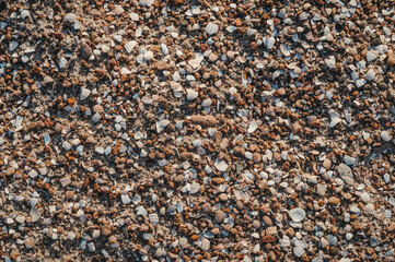  Seashells on a sandy beach