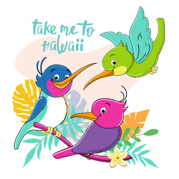 Beautiful funny birds collection. Vector cartoon illustration. Funny summer animals, hummingbirds. Design for t-shirts
