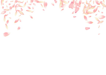 White Sakura Petal Vector White Background. Pink