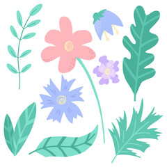 Vector flowers set. Leaves and flowers.