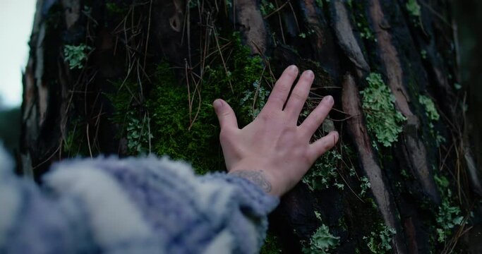 Close up of female hand gently touching bark of big old pine tree with fingers. Feeling and connecting with nature. Environmental crisis and modern millennial generation protecting eco system