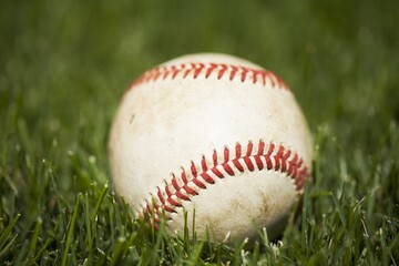 Baseball in the grass