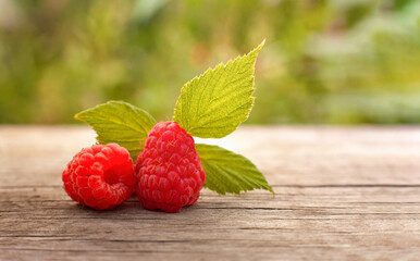 freshly picked raspberries on a wooden table with a blurry summer background behind