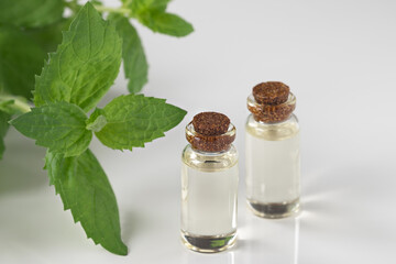 Mint essential oil. Mint leaves, oil in small glass bottles. White background