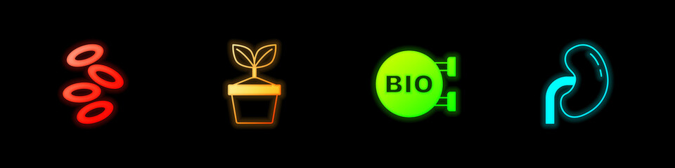 Set Hemoglobin, Plant pot, Bio healthy food and Human kidney icon. Vector