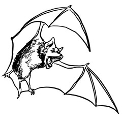 Flying Vampire Bat, isolated on white background. Black magic, witchcraft, darkness symbol. Vintage Vector Element. Tattoo, T-shirt design. Vector line art