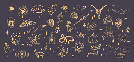 Set of boho hand drawn mystical magic set. Esoteric doodle elements and logo icons with hands, raven dagger. Black outline style. Abstract vector illustration