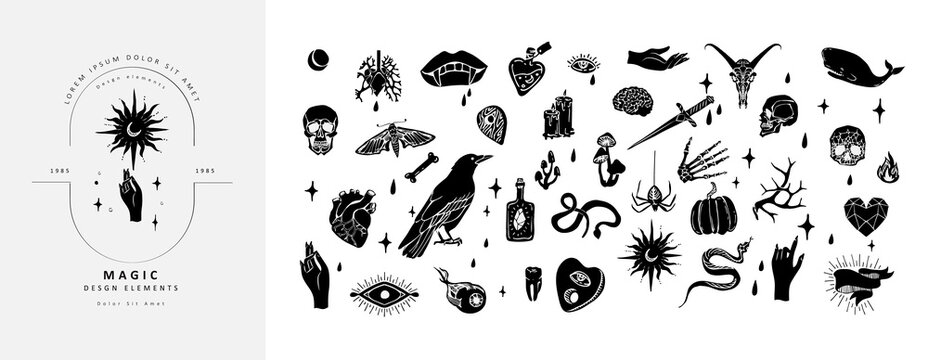 Set of boho hand drawn mystical magic set. Esoteric doodle elements and logo icons with hands, raven dagger. Black outline style. Abstract vector illustration