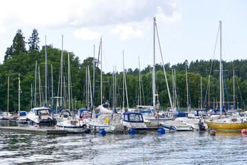 boats in the harbor