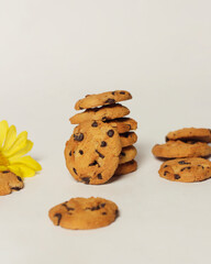 Chocolate biscuits with chocolate chip topping as snacks in the morning, are very popular among children to old age. Biscuits and milk are the perfect combination of food and drink. Biscuit mockup.