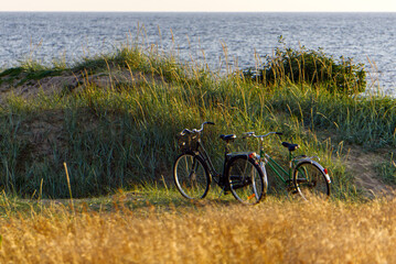Fototapeta premium bicycles in the field