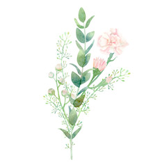 Fototapeta na wymiar Watercolor botanical illustration with eucalyptus branches and pink carnations on white background. Isolated composition with pink flowers and greenery for wedding decoration, prints.