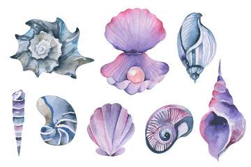 Watercolor seashell beach and ocean design elements: large collection of hand drawn vintage sea shells