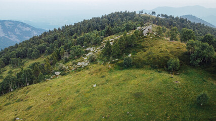 Aerial view of green fields and forest in the mountains. Italian Alps.