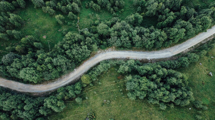 Aerial view of narrow road among green summer forest and field in the mountains. Italian Alps, high angle view.
