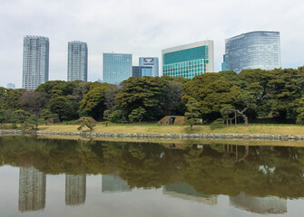 View of skyscrapers towering over the Hamarikyu Gardens in Tokyo, Japan