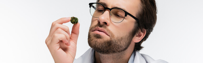 Fototapeta premium thoughtful doctor looking at dry medical hemp isolated on white, banner