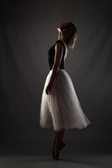 ballerina with a white dress and black top posing on gray background. © Nikola Spasenoski