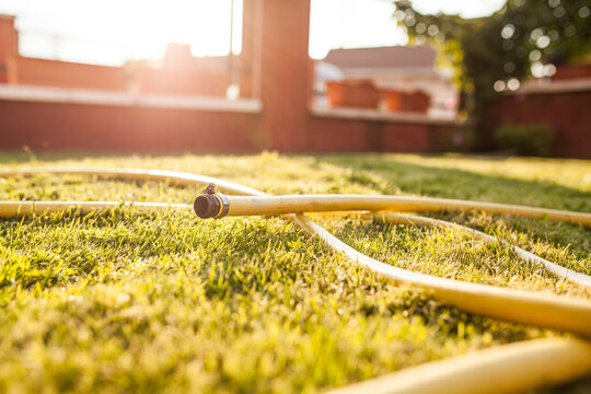 Hose deployed on the garden grass