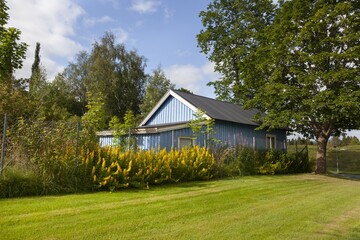 Fototapeta premium Veracruz.