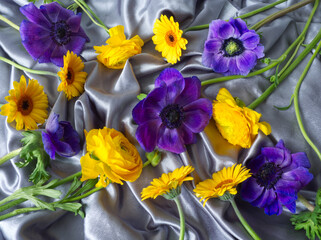 Yellow ranunculus and purple anemone flowers on gray drapery silk background. Colorful flowers...
