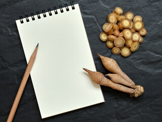 Fingerroot, Kaempfer with Open Blank Notebook and Pencil on Black Background, Flat Lay Concept, Copy Space for Text.