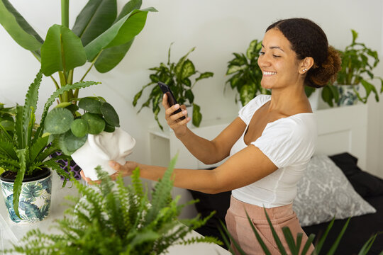 Smiling ethnic woman taking photo of Pilea on smartphone